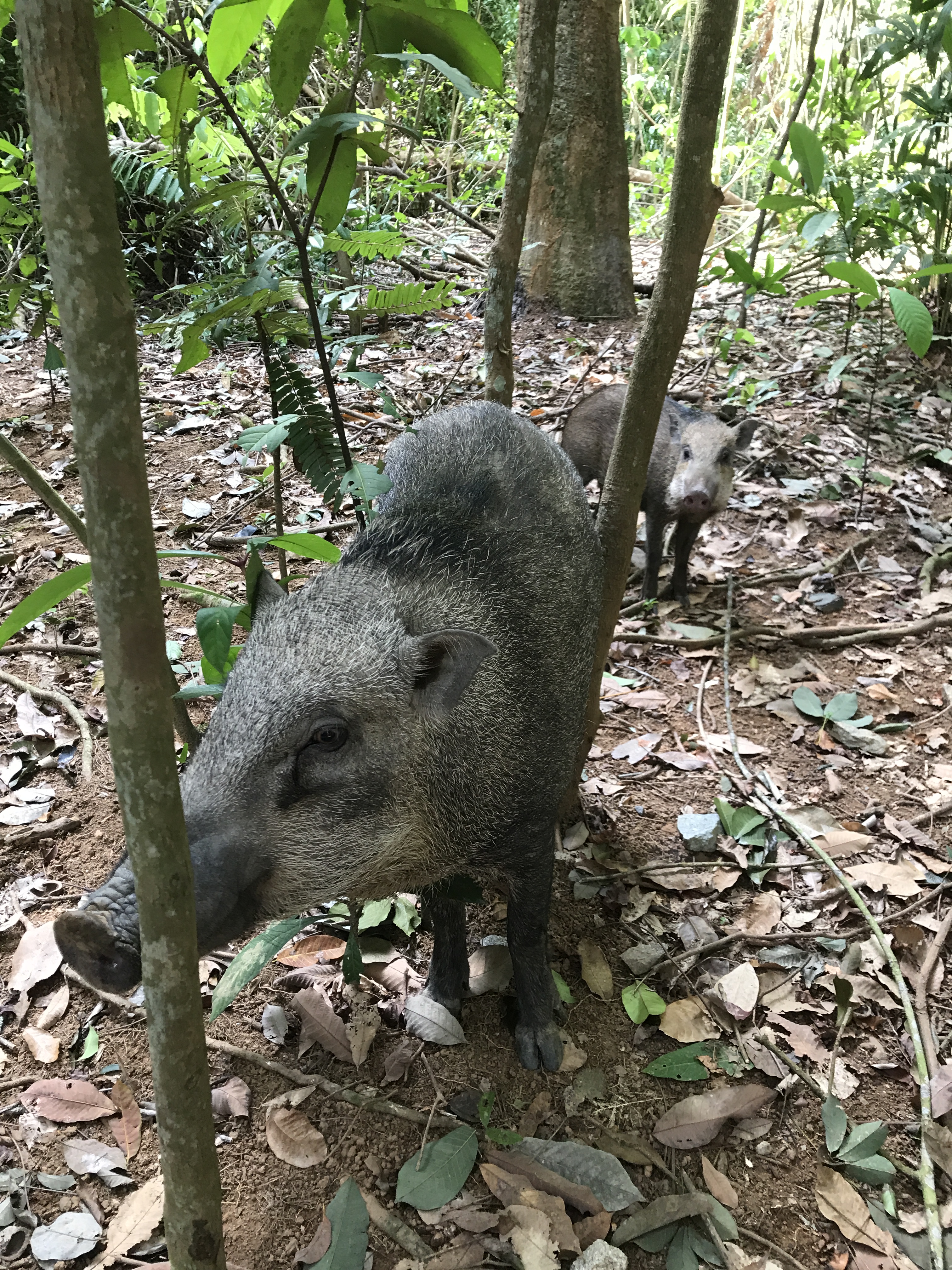 IMG_7228 拷貝